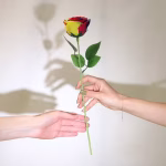 Flores de sabão de Luxo